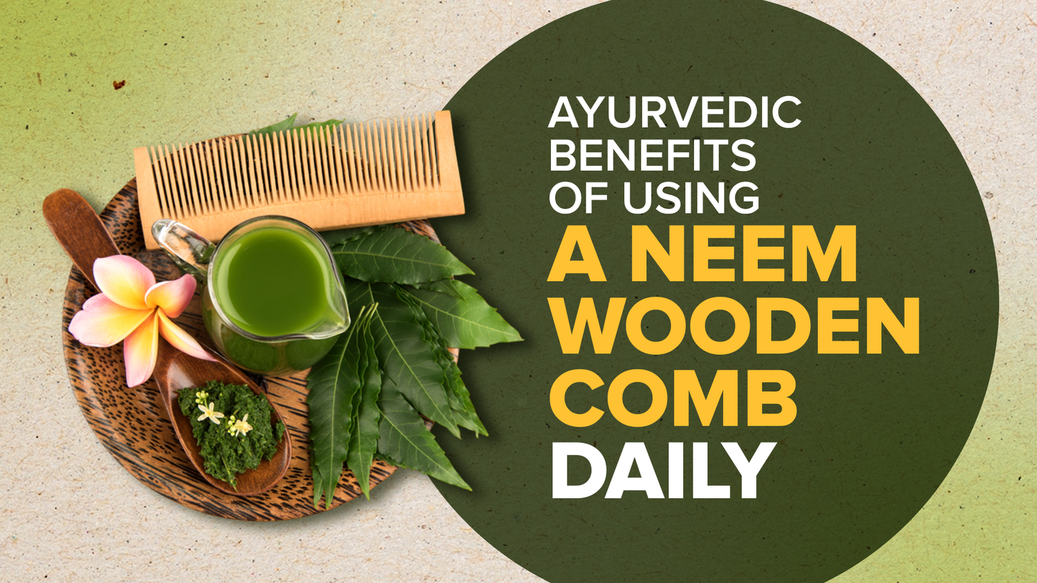 Ayurvedic Benefits of Using a Neem Wooden Comb Daily